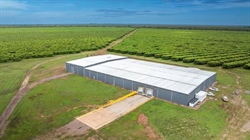 Cheeky mango business for sale in the NT for around $20m