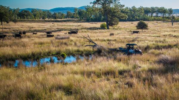 Whittons aggregation running 400 cows, with development potential