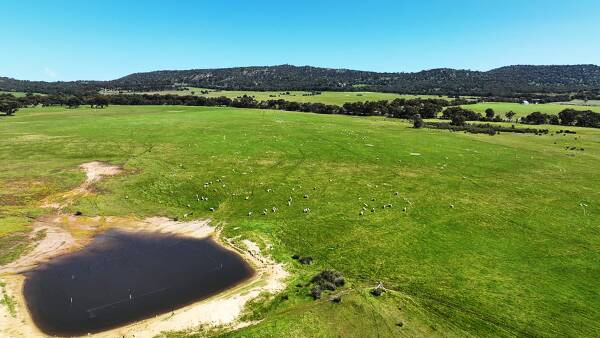 Grazing block just outside Stawell sells for $2672 per acre