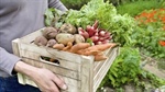 False organic claims must face bigger penalties, says peak body