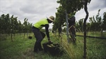 Labor cans controversial PALM change, FWC raises minimum wage by 3.75%