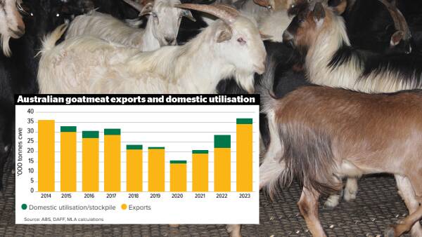Booming herd could stabilise domestic goatmeat supply
