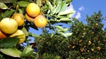 Agribusiness buzz in brief