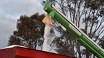Promising news on global fert values