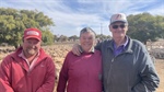 Sheepmeat prices trend up as yardings ease
