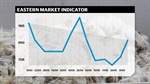 Slight bounce in wool market but true upward trend a way off