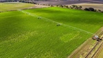 Lake-side lucerne farm punches above its weight with four summer cuts