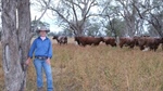 What you must know to conduct a profitable cattle trade