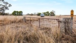 Roll up your sleeves - bargain Wimmera farmland listed at $1500/ac