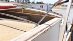 Here's what you need to know to adhere to phosphine regulations