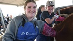 Manning Valley students roll up their sleeves for 'no bull' approach to learning