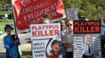 Queensland LNP vows to can contentious energy scheme project if elected
