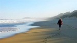Nature lover's beach escape - snapped up quicker than a seagull's chip