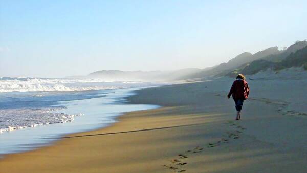 Nature lover's beach escape - snapped up quicker than a seagull's chip