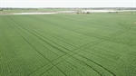 Pioneering family sells pair of YP farm blocks