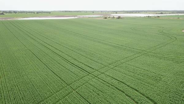 Pioneering family sells pair of YP farm blocks