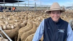 Fortnight of good fortune for NSW lamb market