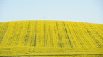 Federal govt seeks ideas for home-grown green fuel initiatives