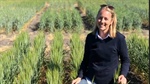 Project investigates deep P potential