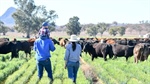 Pricey or priceless: How state farming membership bills compare