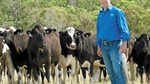 Survey seeks dairy farmers views on national breeding objectives