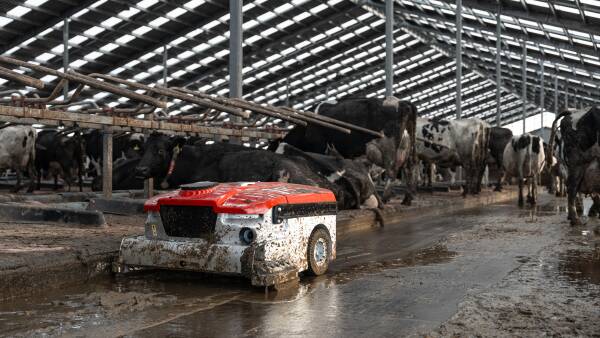 Watch how this robotic vacuum pump cleans up manure in dairy barns