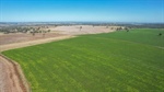 Productive 4790 acre property for 700 cows plus farming | Video