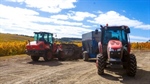 Kubota machinery helps South Australian winery Chalk Hill produce top drops