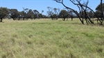 AAM's large-scale central west Mt Harden aggregation on the market | Video