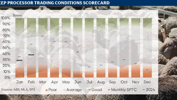 Sheep processing: cautious optimism as sector shows early signs of recovery