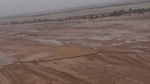 Counting the losses: The toll Qld flooding will have on sheep producers
