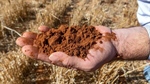 Farmland's record price run has stalled but rain can change all that