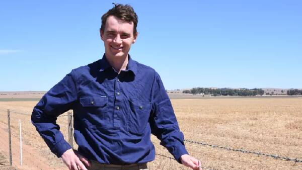Dry growers through SA, Vic urged to minimise plantback risk in rotation