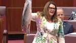Canberra Chaos: May 3 election odds, APVMA appointments,Trump to Australia?