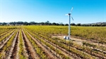 Australian wine market heats up with multi-million dollar vineyard listings