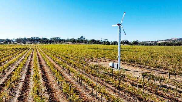 Australian wine market heats up with multi-million dollar vineyard listings