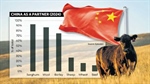 Why Australia must avoid picking sides in any looming global trade war