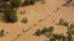 Preliminary DPI survey results reveal number of livestock lost in floods