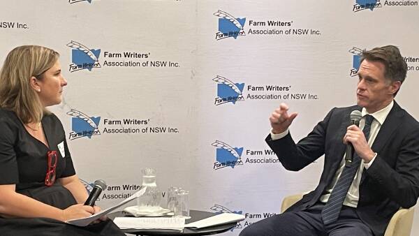 Trump's tariff war, what's at stake and why NSW Premier wants us all to fight