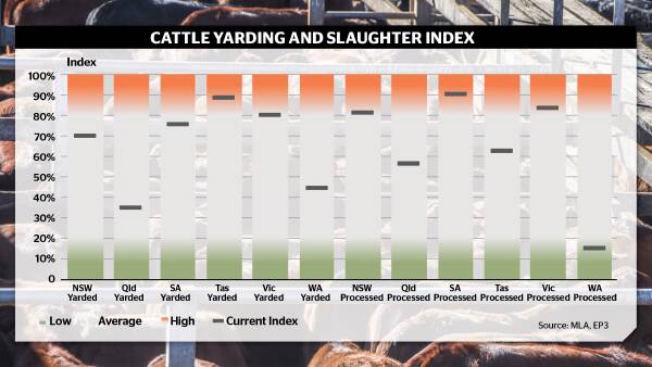 Splitting the nation: cattle sector faced with contrasting weather | Episode 3
