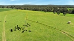 Angus stud in central Victoria changes hands for a stellar price