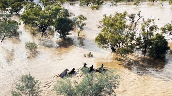 Record-breaking heat and rain, as the flood rescue just got wet again