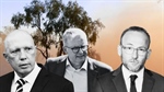 The Greens' balance-of-power dreams: End deforestation, pull climate trigger