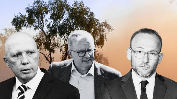 The Greens' balance-of-power dreams: End deforestation, pull climate trigger