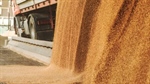 Wheat prices have the potential for a boom; the clue is in stocks-to-use
