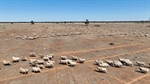 Historic Wonga Station hits the market, a legacy of Merino excellence