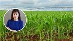 How scientists hope AI technology can take the guesswork out of crop damage
