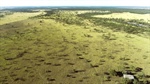 Eumerella: Last floodplain property with farming potential hits the market