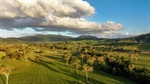 Large-scale, high-rainfall Oaklands with quality improved tropical pastures