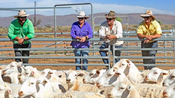 Rare chance to make a play for three of Australia's historic sheep stations